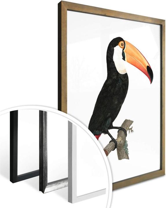 Produktbild Trenddeko Tukan auf einem Ast (40 x 50 cm)