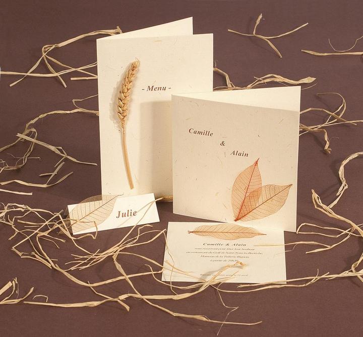 Image du produit G. Lalo Karten & Blätter (120 g/m², 20 x, A4)