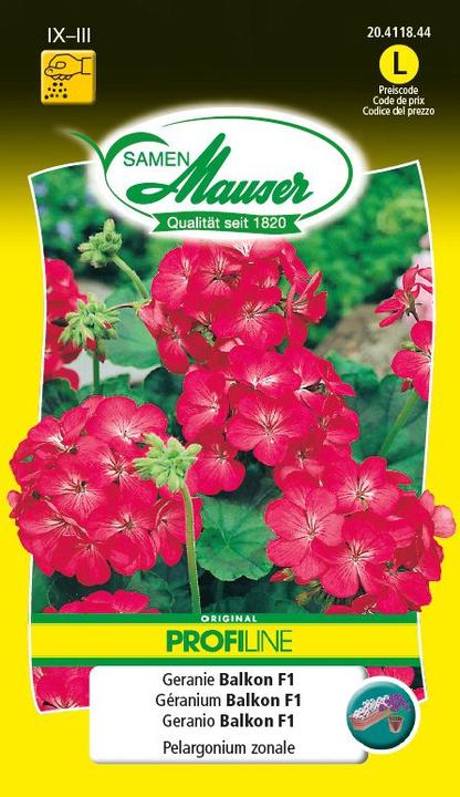 Samen Mauser Balcone in geranio F1 (Semi di fiori)
