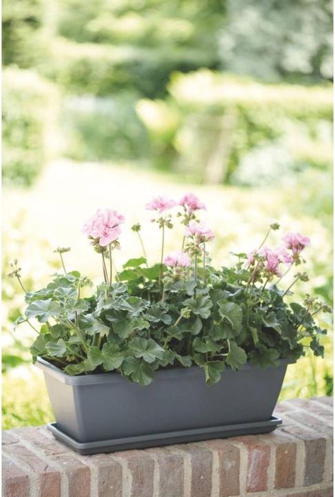 Produktbild Elho Barcelona (18.50 cm)
