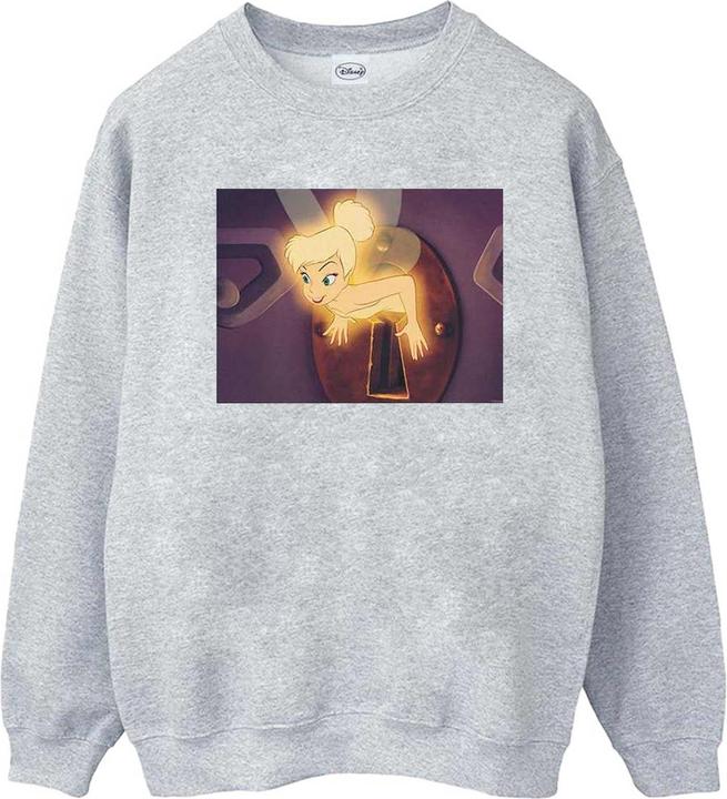 Disney Tinker Bell Lock Squeeze Sweatshirt (XL)