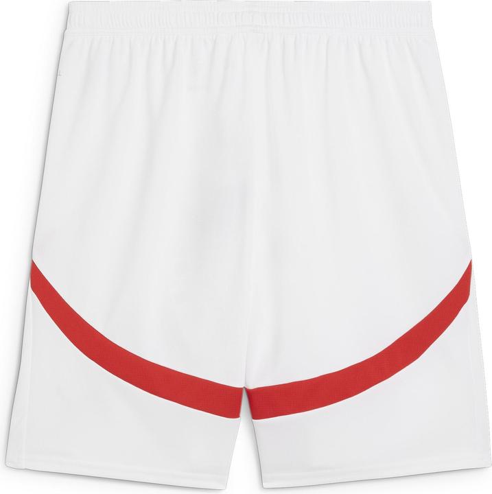 Actual product image Puma RBL Shorts Replica (3XL)