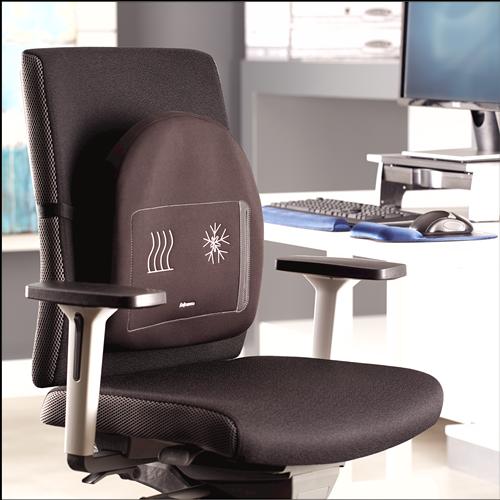 Actual product image Fellowes Back support Professonal Series