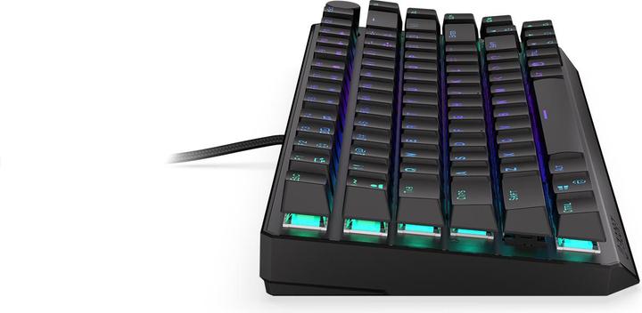 Actual product image Endorfy Thock 75% (US, Wireless, Cable)