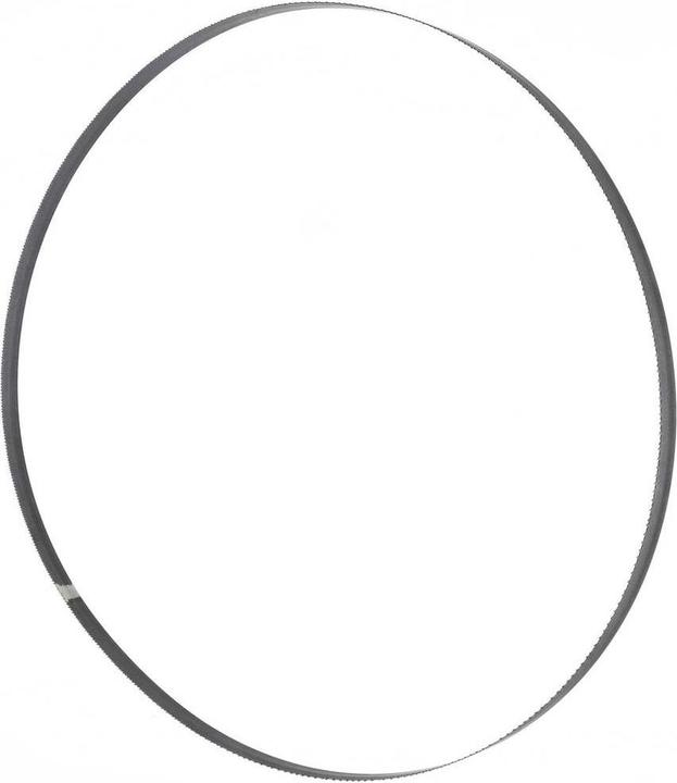 Actual product image Holzmann Band saw blade 3454x20x0,mm T 8