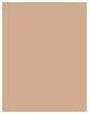 Actual product image Revlon Colorstay Combination Oily Skin (310 Warm Golden)