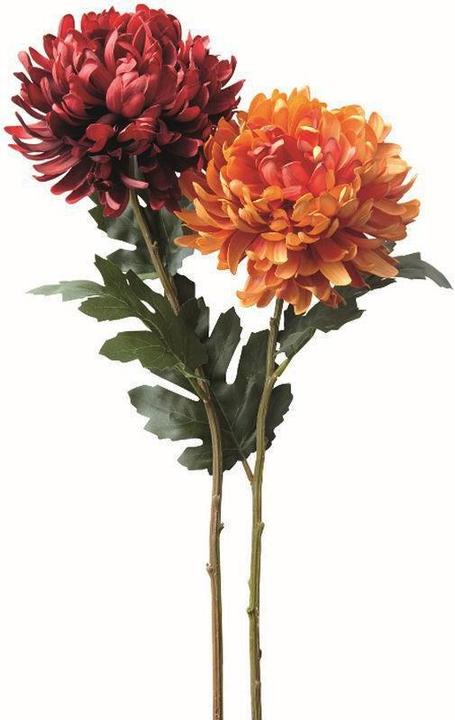Immagine prodotto Leonardo Crisantemo 72cm Fiore