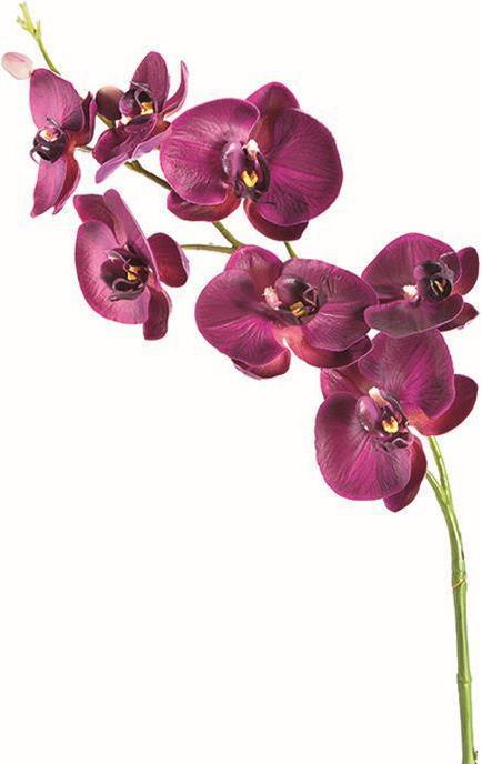 Produktbild Leonardo Orchidee 85cm pink Fiore