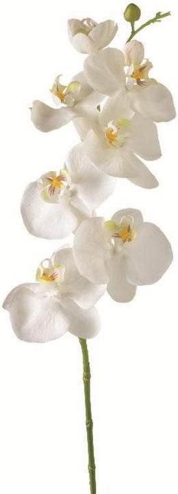 Produktbild Leonardo Orchidee 85cm weiss Fiore