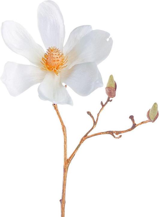 Immagine prodotto Leonardo Magnolia 30cm bianco/oro Fiore