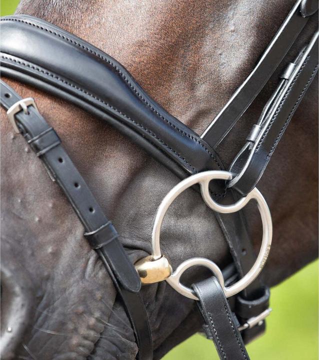 Image du produit Premier Equine Mors double brisure pour cheval en laiton 3 effets