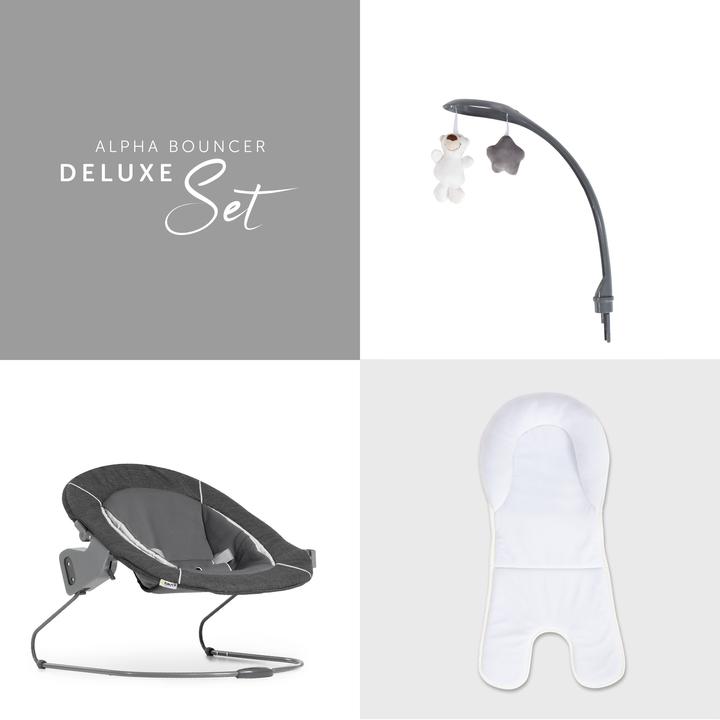 Actual product image Hauck Alpha Bouncer Deluxe