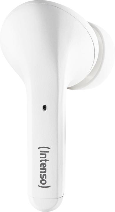 Image du produit Intenso Bourgeons blancs T302A (ANC, 2 h, Filaire)