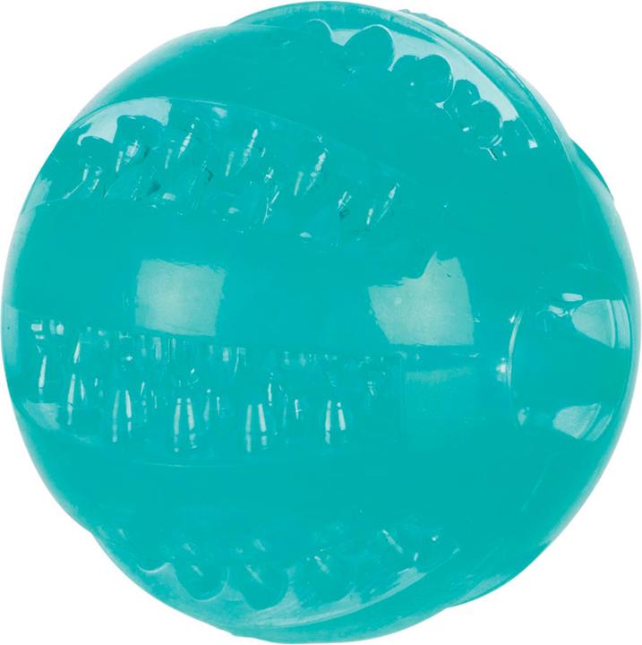 Immagine prodotto Trixie Denta Fun Mintfresh Palla D=6cm (Palla giocattolo per cani)