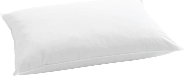 Billerbeck Standard 350