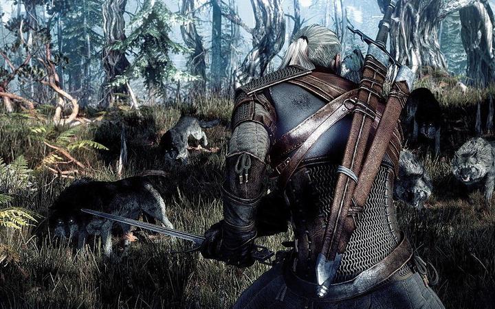 Actual product image Bandai Namco The Witcher 3: Wild Hunt - GOTY (PS4, Multilingual)