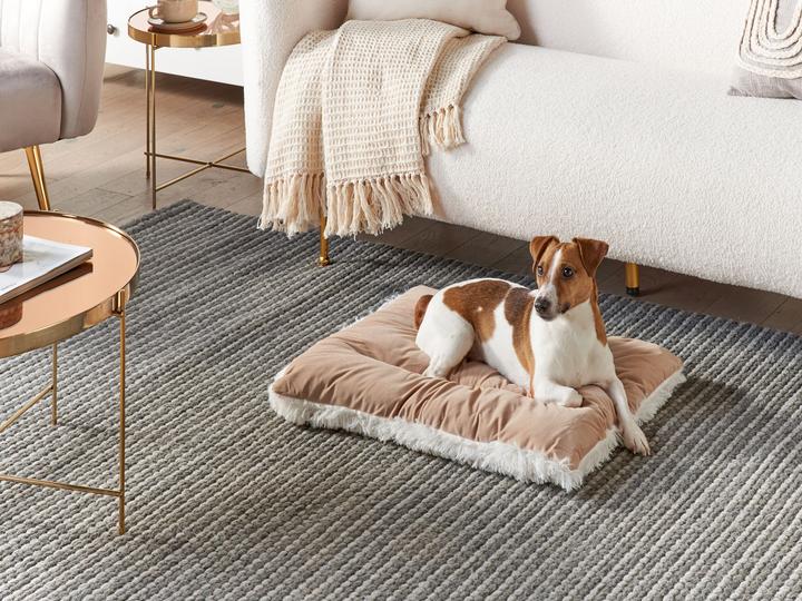 Produktbild Beliani Tierbett Samtstoff beige 60 x 45 cm ERGANI (Hund)
