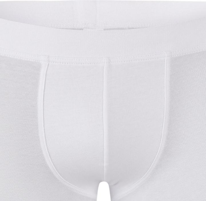 Immagine prodotto Schiesser Confezione da 4 pantaloncini / pantaloni in cotone organico 95/5 per ragazzi (176, confezione da 4)