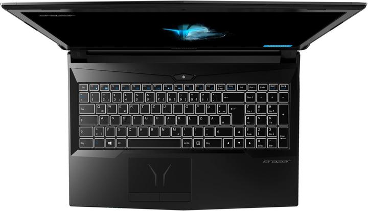 Produktbild Medion Erazer P6705 (15.60", Intel Core i7-8750H, 16 GB, 256 GB, CH)