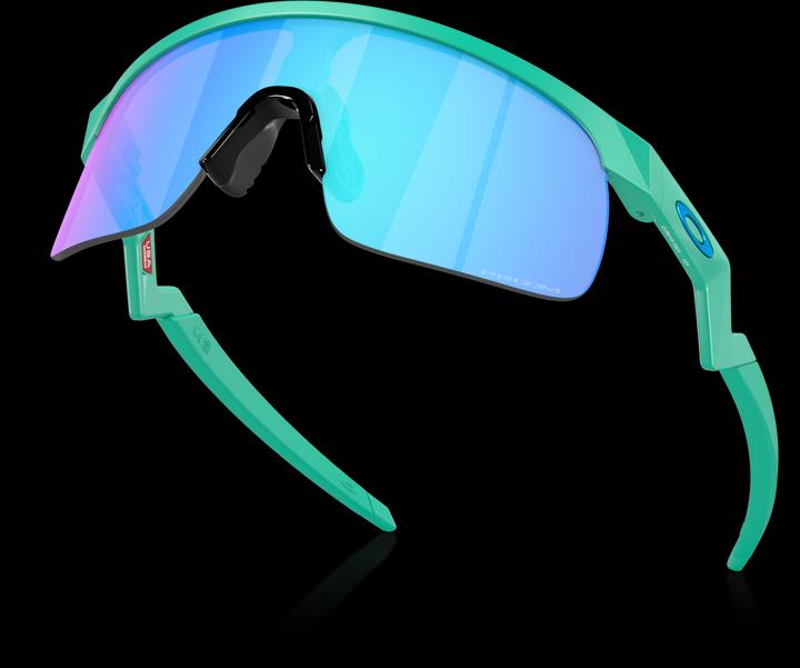 Actual product image Oakley Resistor (Mat Celeste, Prizm Sapphire)