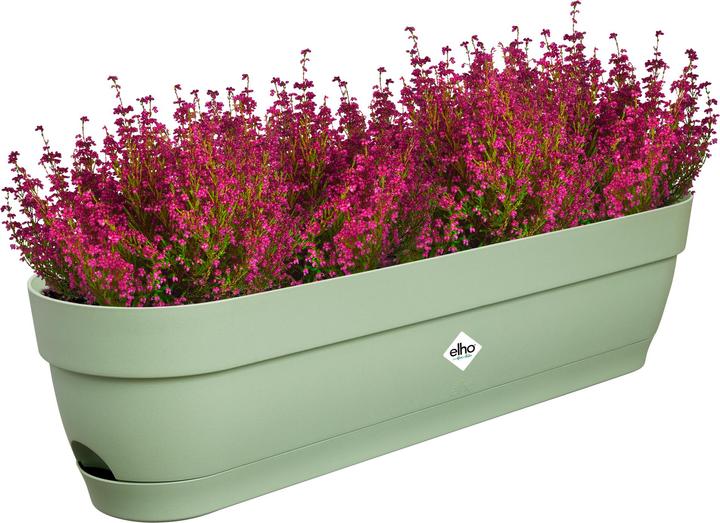 Produktbild Elho Balkonkasten Vibia Campana 69x18.2x17 cm (18.20 cm)