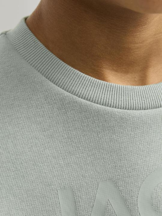 Immagine prodotto Jack & Jones Felpa con logo Mini Felpa (122)