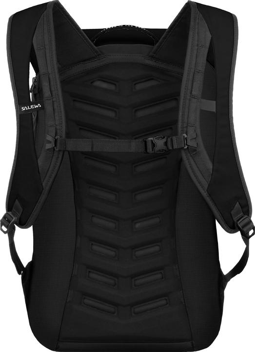 Actual product image Salewa Fanes 24L (24 l)