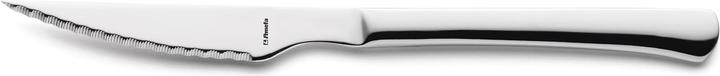 Amefa Chuletero Steak/Pizza Knife (1 Piece, Knife)