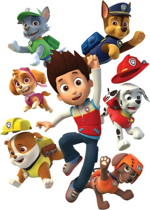 Actual product image Spin Master Paw Patrol Lookout
