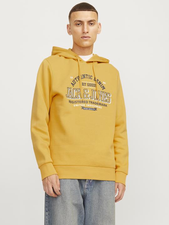 Produktbild Jack & Jones JJELOGO SWEAT HOOD 2 COL 24/25 NOOS (L)