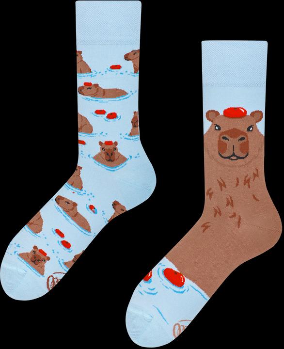 Actual product image Many Mornings Capybara (Single pack, 43 - 46)