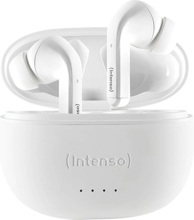 Image du produit Intenso Bourgeons blancs T302A (ANC, 2 h, Filaire)