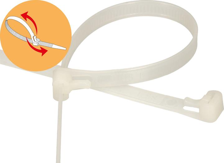 Immagine prodotto Max Hauri Casa via cavo riscattabile (Fascette in plastica, 300 mm, 20 pz.)