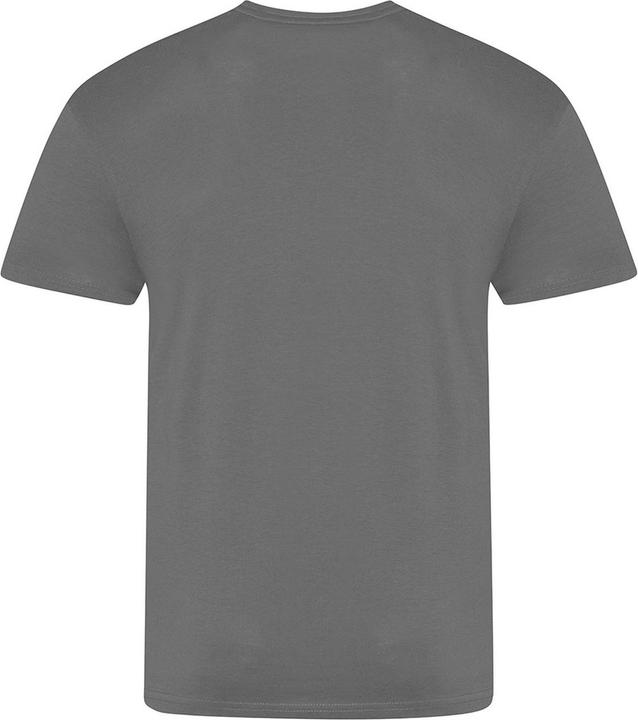 Actual product image Awdis The 100 Tshirt (XL)