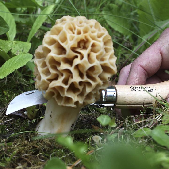 Produktbild Opinel Nr. 8 (7 cm)