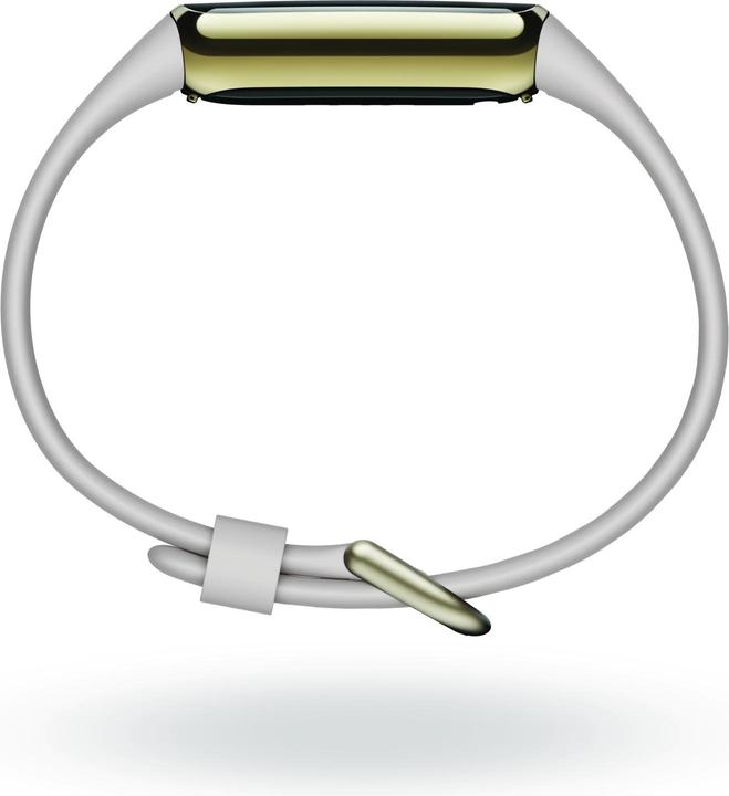 Produktbild Fitbit Luxe (17.50 mm)