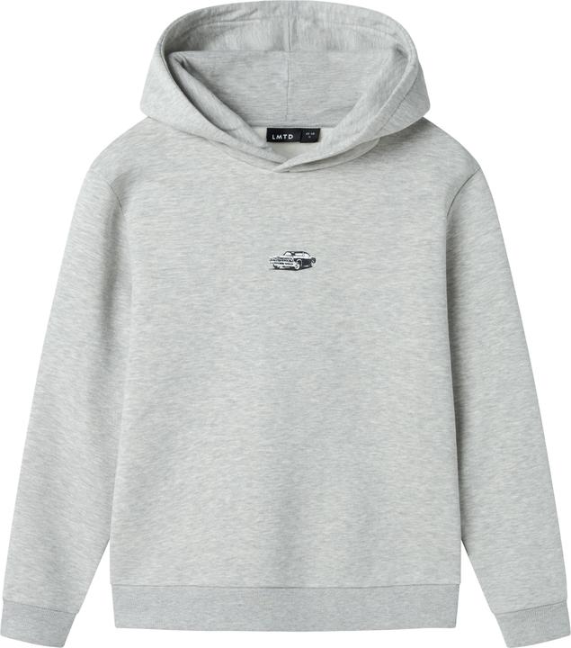 Lmtd Regular Fit Hoodie (158)
