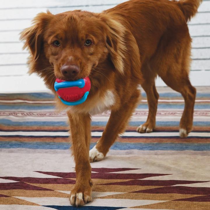 Produktbild KONG Jaxx Brights Ball (Ballspielzeug Hund)