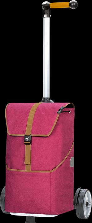 Actual product image Andersen Chariot d'achat Unus Auke