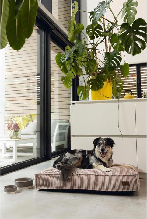 Actual product image Designed by Lotte Ribbed (Dog)