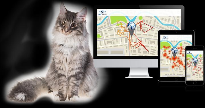 Image du produit PetTracer Dispositif de suivi GPS pour chats (Chat, Général)