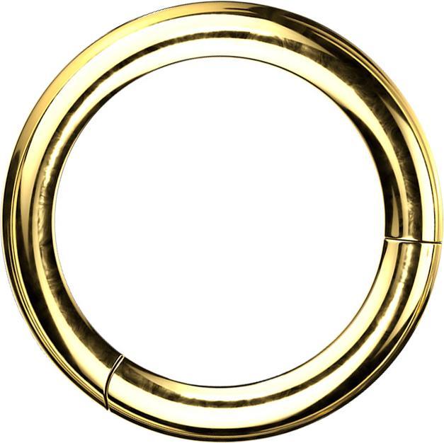 Produktbild Star Piercing Segmentring klappbar vergoldet (ohne Messing, Titan G23)