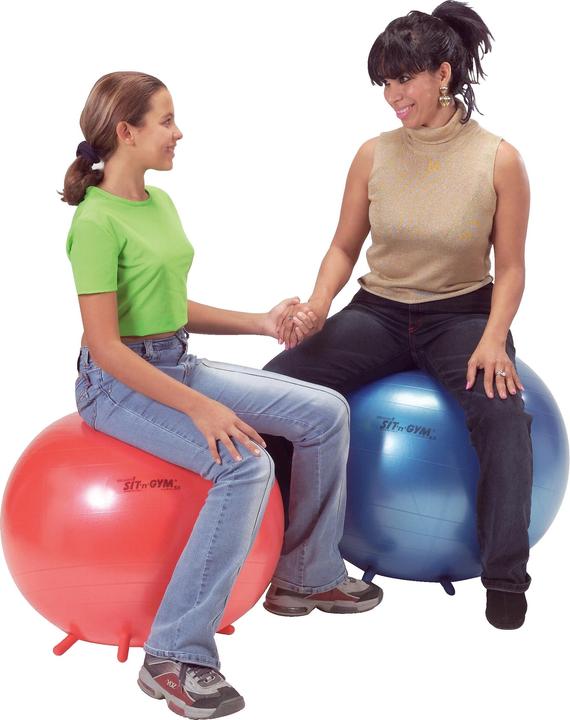 Produktbild Ledraplastic Sitzball Sit 'n' Gym (65 cm)