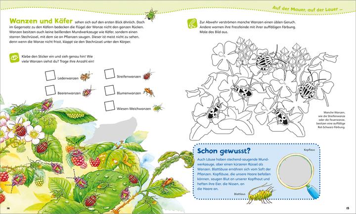 Actual product image Tessloff WAS IST WAS Junior Mitmach-Heft. Insekten (German, Tatiana Marti, 2020)
