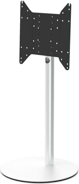 Spectral Circle VX1000 (Diverse, 75", 40 kg)