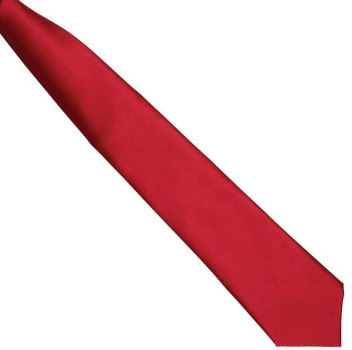 Image du produit Premier Cravate en satin à clipser