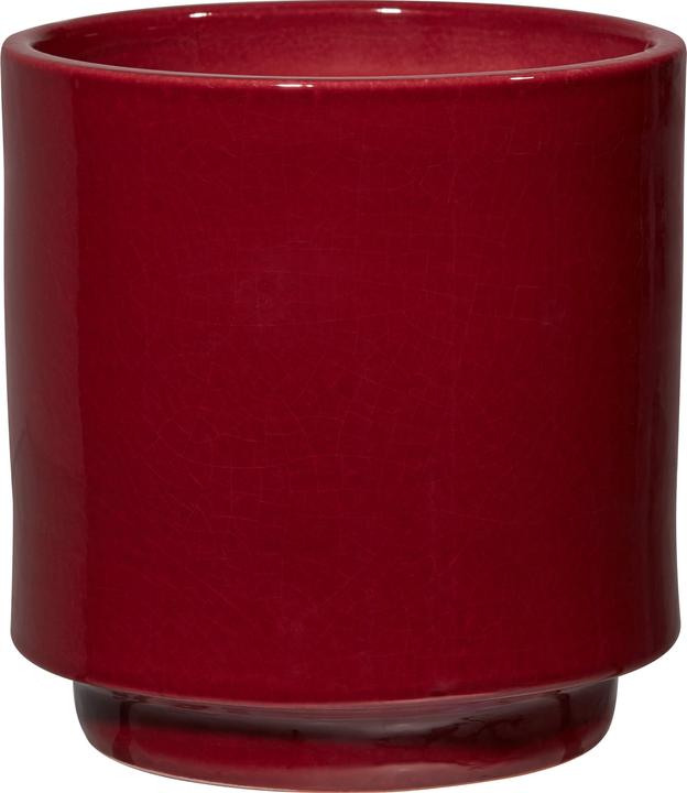micasa Amaya (17 cm)