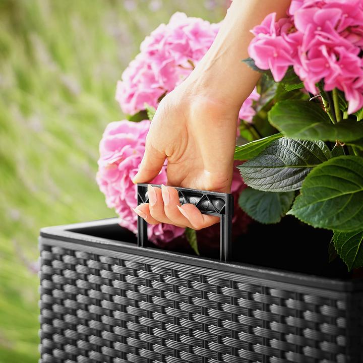 Image du produit Deuba Pot de fleurs (39 cm)