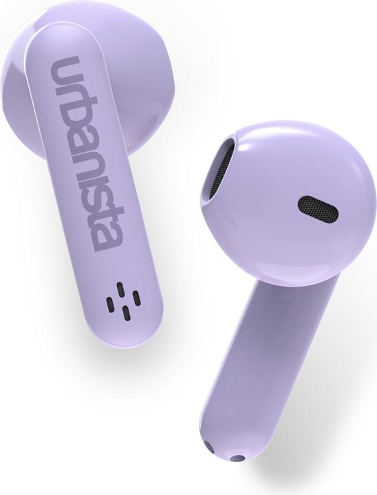 Lavender Purple