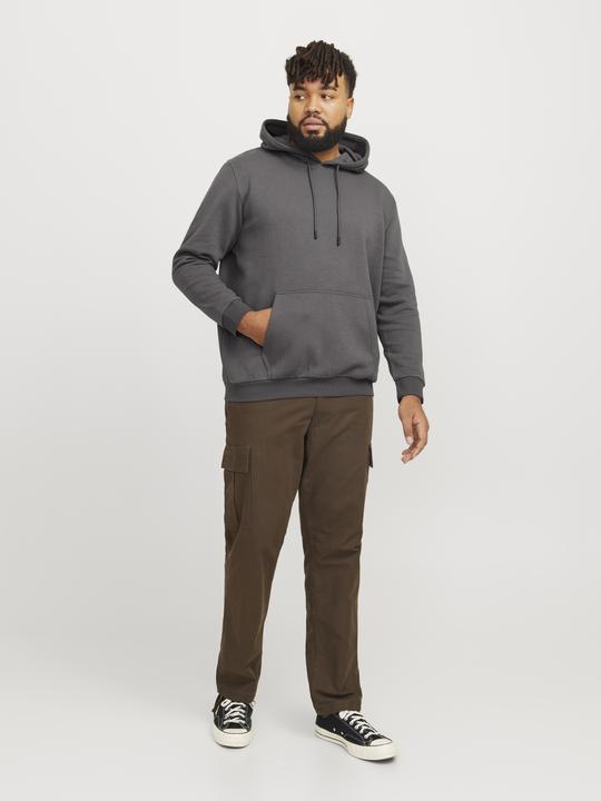 Actual product image Jack & Jones Jjebradley Sweat Hood Noos Pls (4XL)